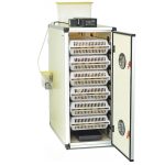Выводной инкубатор CIMUKA CT180H