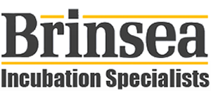 Brinsea