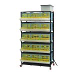 Cage system for pullets - 5 TIERS